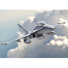 1/48 F/A-18D ATARS