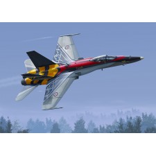 1/48 CF-188A 2017 20 years services